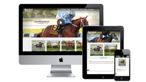 Ardrie Stud - Website